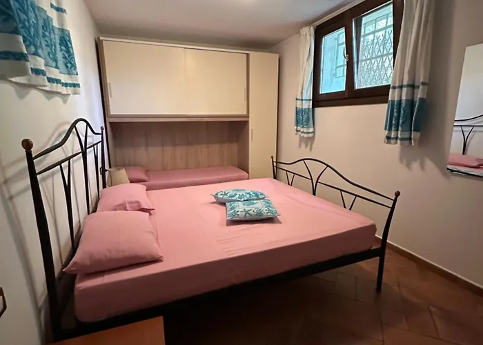 B&B Chorisia
